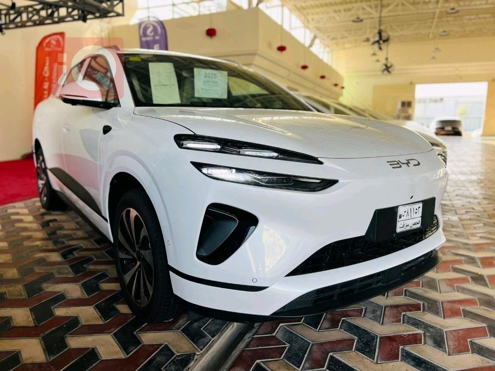 بي واي دي سيليون 06 DM-i